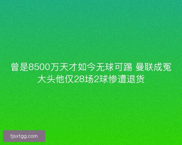 曾是8500万天才如今无球可踢 曼联成冤大头他仅28场2球惨遭退货