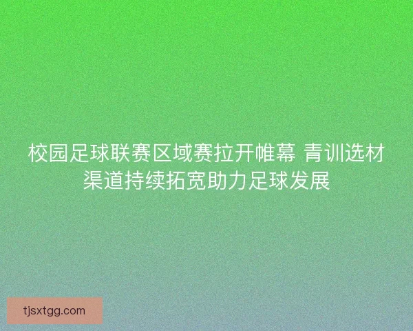 校园足球联赛区域赛拉开帷幕 青训选材渠道持续拓宽助力足球发展
