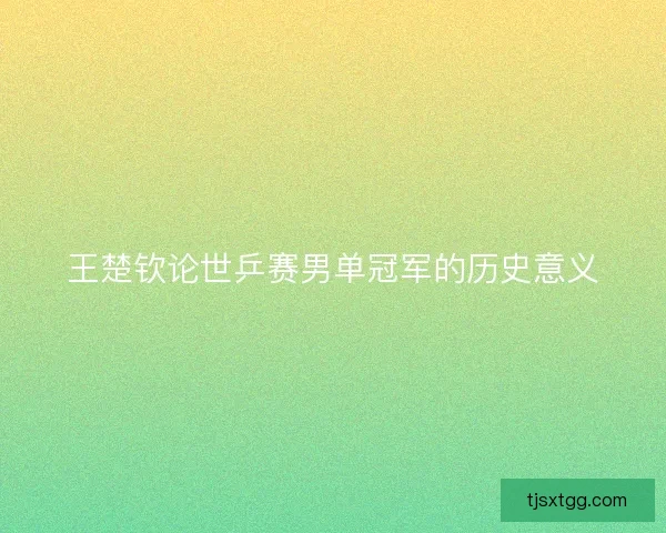 王楚钦论世乒赛男单冠军的历史意义