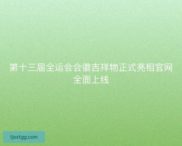 第十三届全运会会徽吉祥物正式亮相官网全面上线